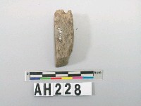 藏品(磨製方角石鑿)的圖片